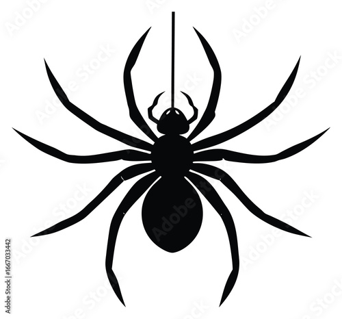 Spider hanging on thread black silhouette spooky and creepy Halloween decoration