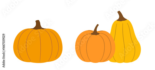 Set of fall orange pumpkins clipart.
Hand drawn Autumn harvest Farm fresh pumpkins flat stock vector illustration.
Good for greeting card, poster, banner, leaflet.
White background.
