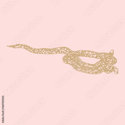 snake vector hand drawn illustration tattoo sketch style color backgroundsnake vector hand drawn illustration tattoo sketch style color background