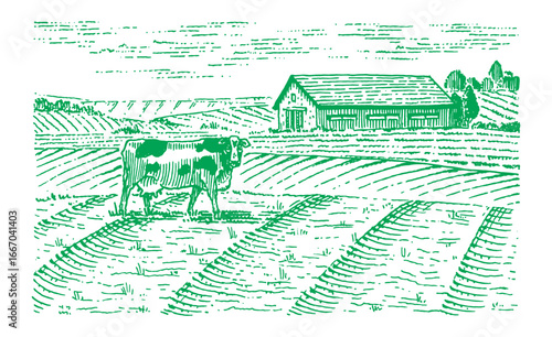A cow on a Rustic meadow hand drawn village landscape illustration with fields. Beautiful scentic view for milk, cheese farm products. Eco food.