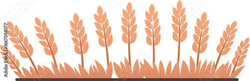 Wheat fields, cartoon oat, barley, rye, wheat ears stalks, vector flat cereal harvest, agriculture, organic farming