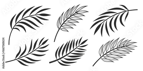 Collection of Stylized Palm Fronds and Leaves