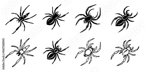 Collection of Stylized Spider Illustrations