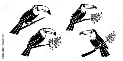 Four Stylized Black Toucans Perched on Branches
