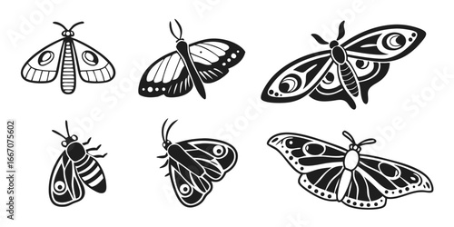 Stylized Black and White Moth Illustrations Collection