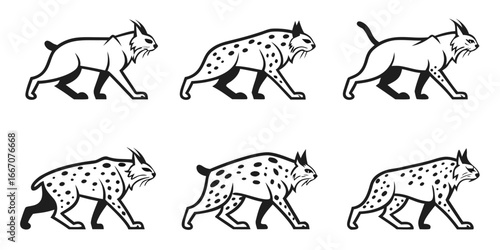 Stylized Lynx Animal Illustrations Set