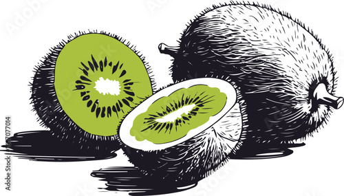 Hand drawn kiwi fruit line art, sliced and whole, bold thick strokes, minimal vector style, isolated on white background