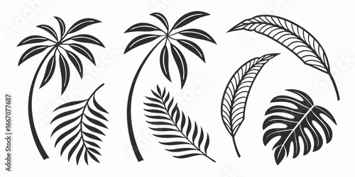 Tropical Palm Leaves and Foliage Silhouettes