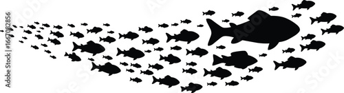 Black fish silhouettes swimming in a school, sea life movement, marine animals vector illustration, aquatic underwater wildlife art on white background