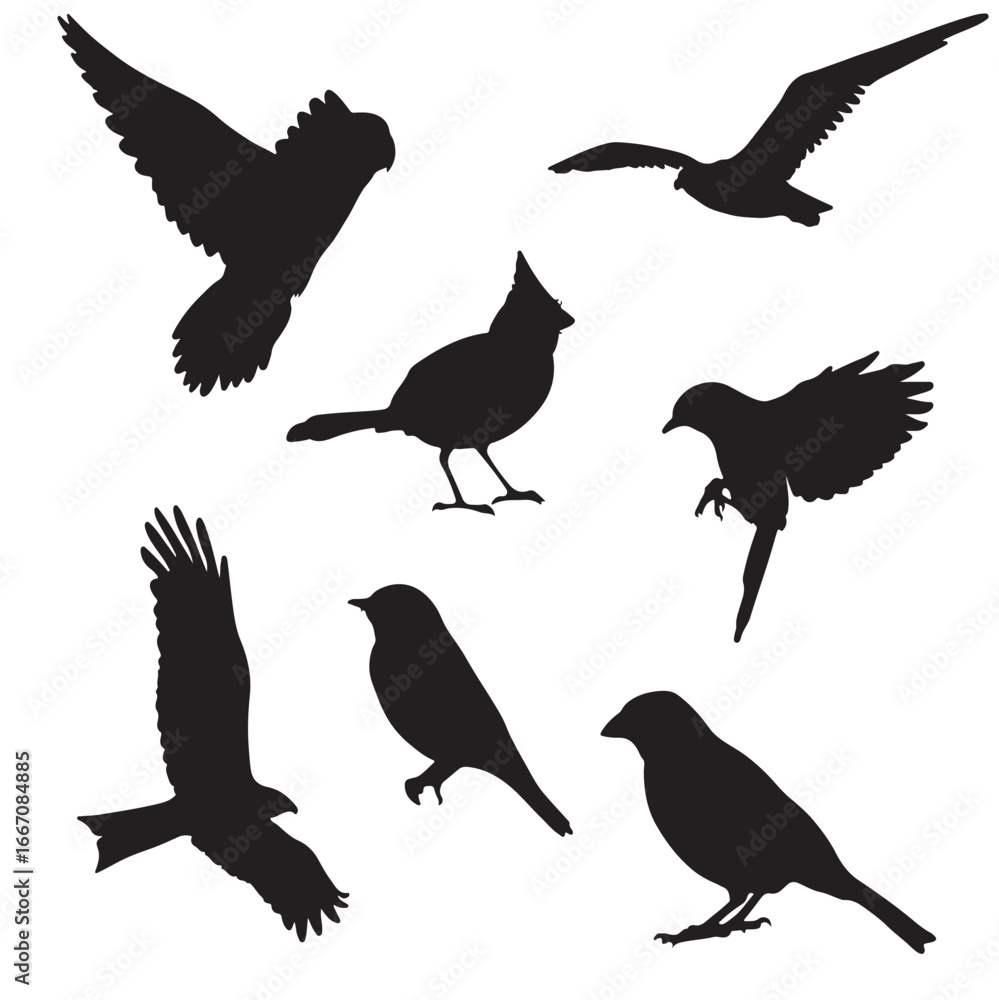 Obraz premium bird silhouette illustration set