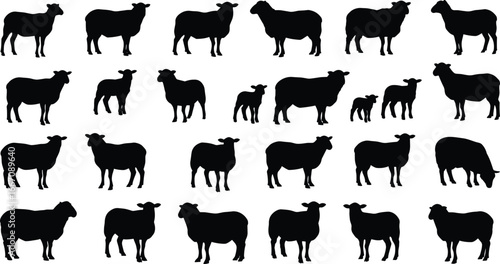 Farm sheep silhouette vector collection, black livestock illustrations for agriculture, animal farming, wool industry, rural scene, or domestic animal design