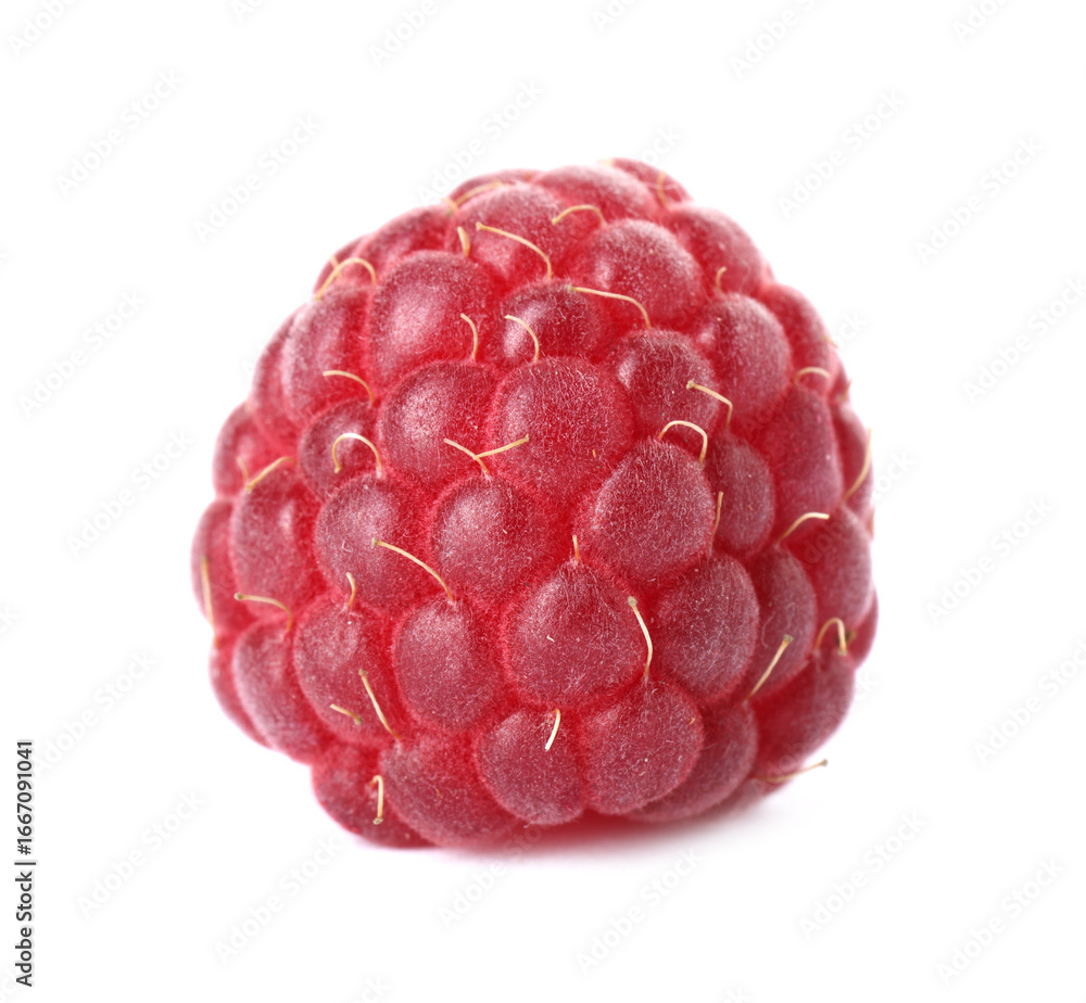 One fresh tasty raspberry isolated on white One fresh tasty raspberry isolated on white