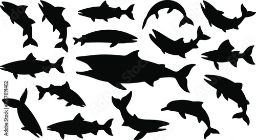 Photography Shark and dolphin silhouettes vector, underwater sea animals collection, marine