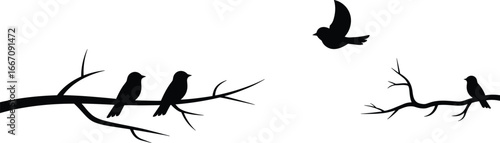 Bird silhouettes on tree branches with one bird flying, nature wildlife vector illustration, black birds on bare branches isolated on white background