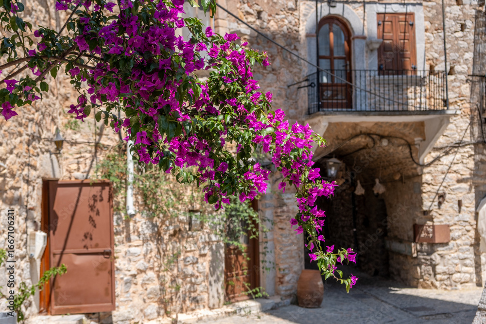 Obraz premium Chios Island, Greece. Blooming bougainvillea at a narrow coblestone alley, Mesta medieval village