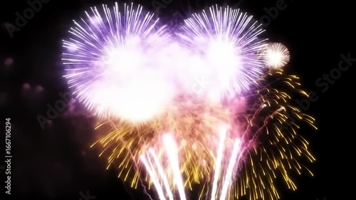 Colorful fireworks burst against a dark night sky