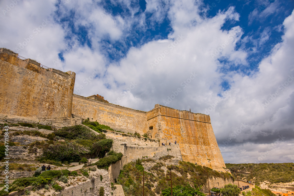 Fototapeta premium La forteresse de Bonifacio et ses falaises de calcaire en Corse du Sud en France