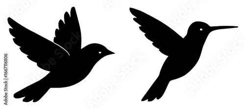 Silhouettes of Two Hummingbirds in Flight
