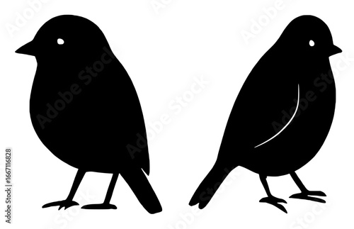 Silhouettes of Two Birds Standing Side by Side