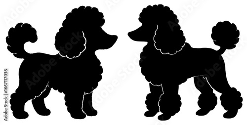 Silhouettes of Two Poodles Facing Each Other on White Background