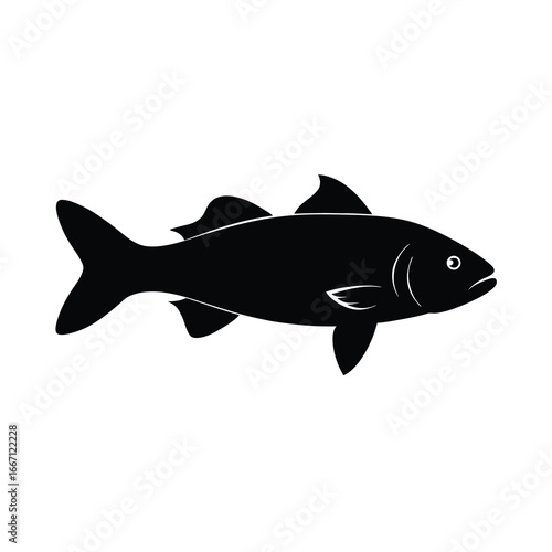  silhouette of a fish on white background 