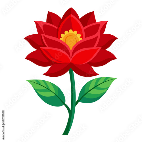 red flower isolated on white background