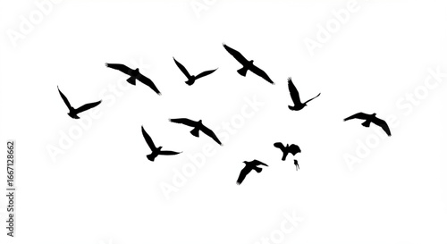 Canada goose silhouette design. wild duck flying in group.