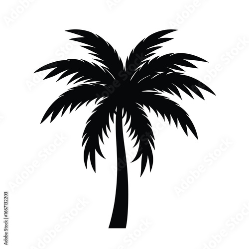 silhouette of a palm tree on white background 