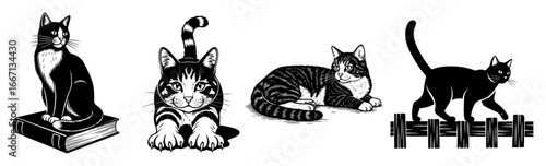 Cat poses set vector, sitting on book, kitten face, sleeping, walking