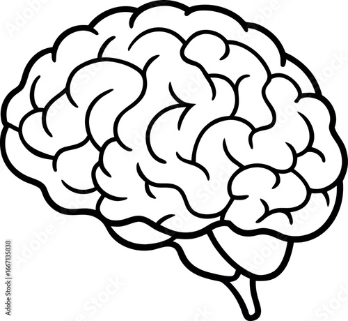 human brain vector illustration