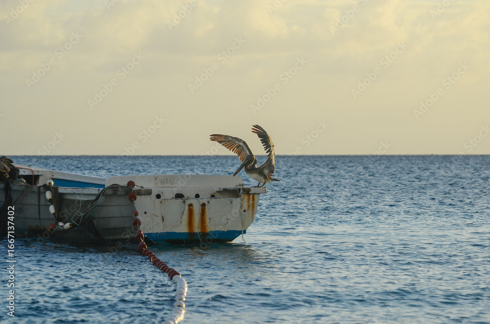 Fototapeta premium Pelican takes flight from boat with serene ocean at sunrise
