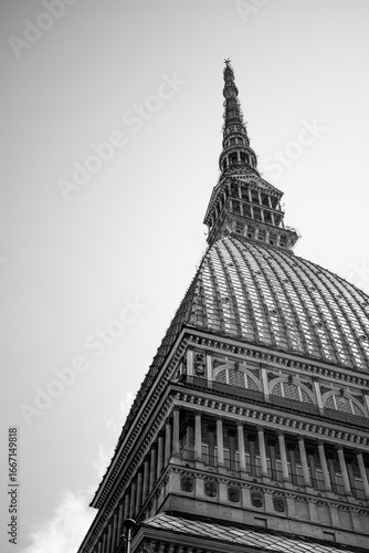 toiture en noir & blanc