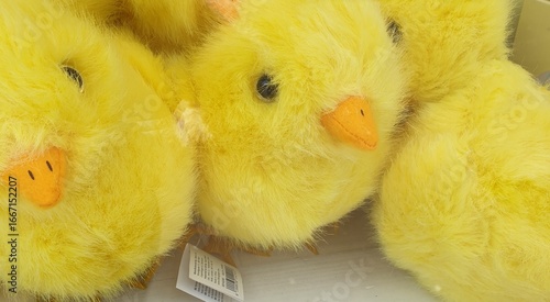 Poussin