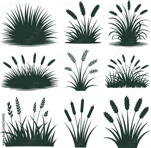 Silhouette grass and wheat vector set for design elements
