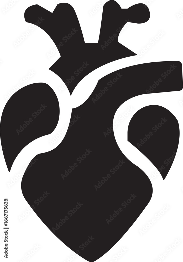 Obraz premium Anatomical Heart Icon,Human Heart,Cardiac Muscle Line and Silhouette Color Icon Set. Medical Cardiology Pictogram.Collection on White Background.Real human heart organ icon.medical icon