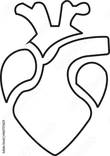 Anatomical Heart Icon,Human Heart,Cardiac Muscle Line and Silhouette Color Icon Set. Medical Cardiology Pictogram.Collection on White Background.Real human heart organ icon.medical icon