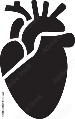 Anatomical Heart Icon,Human Heart,Cardiac Muscle Line and Silhouette Color Icon Set. Medical Cardiology Pictogram.Collection on White Background.Real human heart organ icon.medical icon