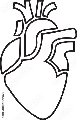 Anatomical Heart Icon,Human Heart,Cardiac Muscle Line and Silhouette Color Icon Set. Medical Cardiology Pictogram.Collection on White Background.Real human heart organ icon.medical icon