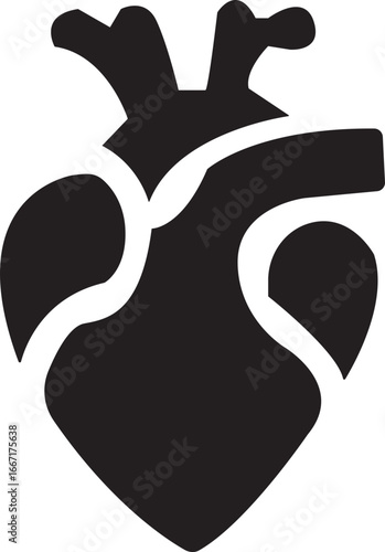 Anatomical Heart Icon,Human Heart,Cardiac Muscle Line and Silhouette Color Icon Set. Medical Cardiology Pictogram.Collection on White Background.Real human heart organ icon.medical icon