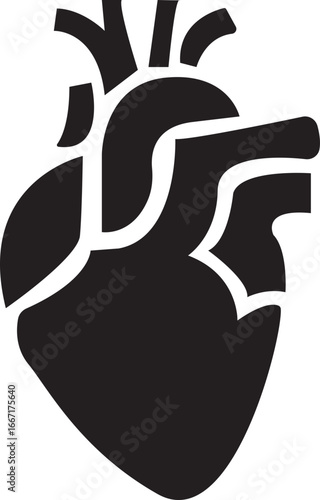 Anatomical Heart Icon,Human Heart,Cardiac Muscle Line and Silhouette Color Icon Set. Medical Cardiology Pictogram.Collection on White Background.Real human heart organ icon.medical icon