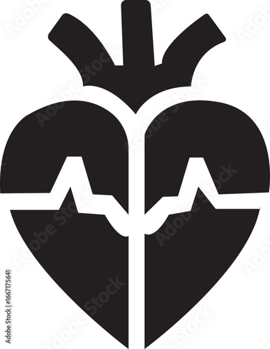 Anatomical Heart Icon,Human Heart,Cardiac Muscle Line and Silhouette Color Icon Set. Medical Cardiology Pictogram.Collection on White Background.Real human heart organ icon.medical icon