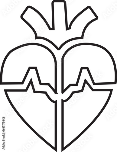 Anatomical Heart Icon,Human Heart,Cardiac Muscle Line and Silhouette Color Icon Set. Medical Cardiology Pictogram.Collection on White Background.Real human heart organ icon.medical icon