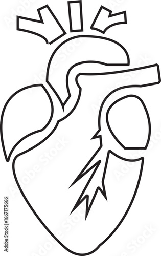 Anatomical Heart Icon,Human Heart,Cardiac Muscle Line and Silhouette Color Icon Set. Medical Cardiology Pictogram.Collection on White Background.Real human heart organ icon.medical icon