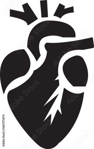 Anatomical Heart Icon,Human Heart,Cardiac Muscle Line and Silhouette Color Icon Set. Medical Cardiology Pictogram.Collection on White Background.Real human heart organ icon.medical icon
