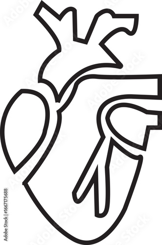 Anatomical Heart Icon,Human Heart,Cardiac Muscle Line and Silhouette Color Icon Set. Medical Cardiology Pictogram.Collection on White Background.Real human heart organ icon.medical icon
