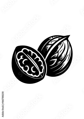 Silhouette of a Whole and Halved Walnut