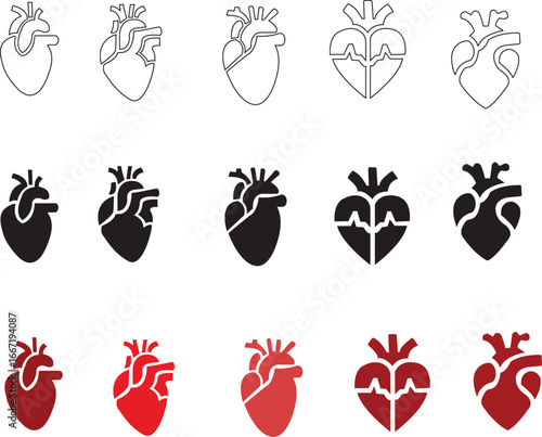 Anatomical Heart Icon set,Human Heart,Cardiac Muscle Line and Silhouette Color Icon Set. Medical Cardiology Pictogram.Collection on White Background.Real human heart organ icon.
