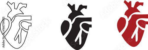 Anatomical Heart Icon set,Human Heart,Cardiac Muscle Line and Silhouette Color Icon Set. Medical Cardiology Pictogram.Collection on White Background.Real human heart organ icon.