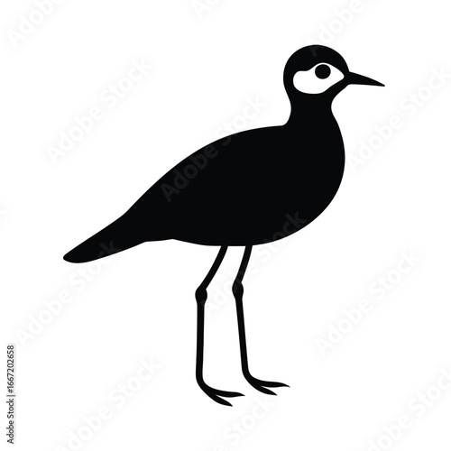 lapwing, bird, wader, wildlife, plumage, nature, flying, beak, feathers, avian, wetlands, shorebird