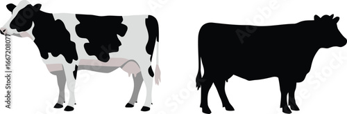 Two Cow Illustrations – Detailed and Silhouette Cattle for Farm Branding, Dairy Product Packaging, and Agricultural Marketing Design